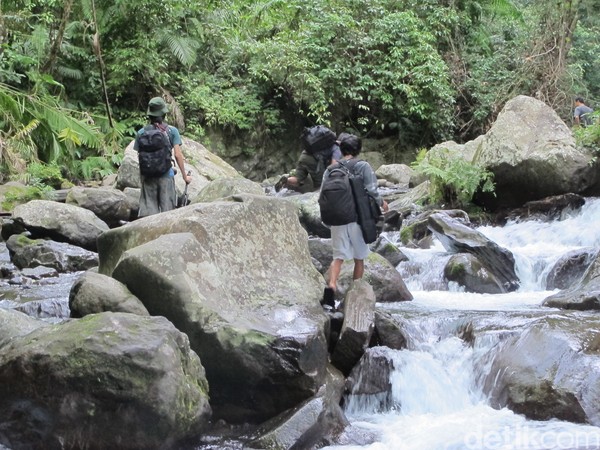 Butuh trekking sekitar 30 menit dari air terjun Sendang Gile ke air terjun Tiu Kelep. Menaiki anak tangga, melewati sungai (Afif Farhan/detikTravel)
