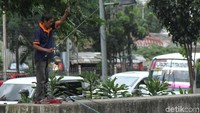 Menurut warga, ada tiga jenis ikan yang biasanya mereka dapatkan saat memancing di kali tersebut, yaitu ikan lele,patin, dan gabus.