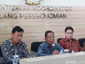 Kecam Kampanye Hitam Sawit, RI akan Adukan Uni Eropa ke WTO