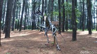 Lokasi parkir cukup luas dan aman berada di sebelah kiri setelah pintu masuk TSCS. Ada beberapa spot foto yang dirangkai dari instalasi kayu (Aji Kusuma/detikTravel)