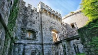 Sebuah perusahaan Swiss bernama OHM Mamula Montenegro telah menggelontorkan dana senilai 15 juta Euro atau setara dengan 242 milyar, untuk membangun resort di pulau tersebut seperti diberitakan media The Telegraph (hercegnovi.travel)