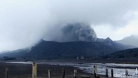Dari data PVMBG, kondisi Gunung Bromo saat ini yakni adanya aktivitas gempa tektonik 1 kali dengan amplitudo 32 milimeter selama 253 detik. Kemudian gempa tremor dengan amplitudo 0,5-19 milimeter dominan 3 milimeter. Terakhir gempa letusan terjadi 5 kali dengan amplitudo 29-30 milimeter selama 47-58 detik. 