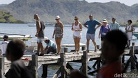 Tak hanya Norwegian Jewel, kapal-kapal pesiar besar lainnya kini sudah sering mengagendakan perjalanan rute ke Pulau Komodo (Dikhy Sasra/detikcom)