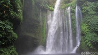 Tiu Kelep punya arti, tiu adalah terjun dan kelep artinya terbang, jadi bagi orang Lombok ini adalah air terjun terbang. Mengapa begitu, sebab percikan airnya akan langsung membasahi tubuh sebelum berada tepat di bawah air terjunnya (Afif Farhan/detikTravel)