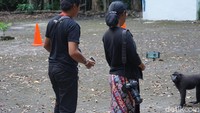 Meski sudah terbiasa melihat manusia, tetapi traveler harus tetap berhati-hati dengan mereka. Yaki bisa berperilaku agresif. Mereka bisa menggigit bahkan mencakar. Kuku mereka tajam. (Wahyu/detikcom)  