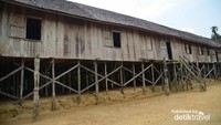 Mudah saja untuk mengenali bentuk fisik Rumah Betang. Rumah ini dibangun di atas ketinggian 3-5 meter dari permukaan tanah, juga panjangnya rumah mulai dari 30-150 meter dengan lebar 30 meter. Memiliki satu tangga masuk dan satu pintu. (Stanislaus Riyanta/dTraveler)