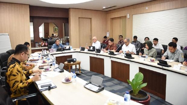 Darmin Beberkan Situasi Terkini Sawit, Tanaman Nomor 1 RI