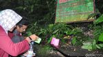 Foto: Mata Air Rasa Soda & Mitos Lancar Rejeki di Kudus