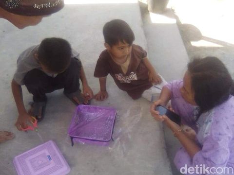Heboh, Warga Polewali Temukan Tokek Aneh Berekor Mirip Buaya