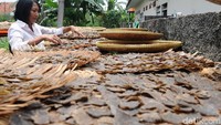 Kulit pisang yang telah diolah dijemur sebelum digoreng.