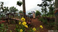 Desa Kalongan Kecamatan Ungaran Timur, Kabupaten Semarang, PT Perhutani bersama masyarakat bikin destinasi bernama Top Selfi Cemara Sewu (TSCS) (Aji Kusuma/detikTravel)