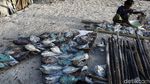 Melihat Produksi Ikan Asin di Pulau Messah