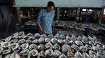 Melihat Produksi Ikan Asin di Pulau Messah