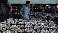 Ikan-ikan kering tersebut nantinya akan di jual ke pengepul di Labuan Bajo.