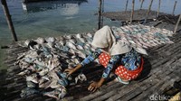 Hasil tangkapan laut itu kemudian dijual ke warga di luar pulau tersebut. Namun, ada pula warga yang mengolah hasil tangkapan laut itu menjadi ikan asin. Belakangan, usaha tersebut makin menjanjikan.