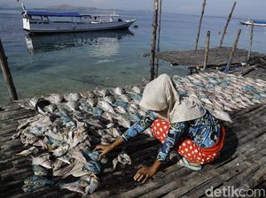 Melihat Produksi Ikan Asin di Pulau Messah