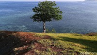 Jika ingin mengunjungi Pulau Messah tak perlu khawatir memikirkan aksesnya, sebab pulau ini berada tak jauh dari ujung barat daratan Flores, Labuan Bajo. Selain itu, kapal penumpang Labuan Bajo-Pulau Messah pun beroperasi setiap hari.