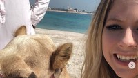Avril tampak sangat menikmati pengalamannya bersama unta. Dok. Instagram/avrillavigne