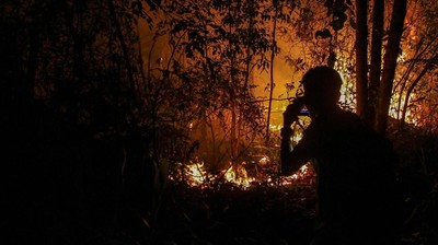 Api Membara di Hutan Pekanbaru