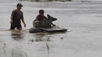 Warga menggunakan perahu darurat yang dibuat dari dua buah ban bekas dan sebuah papan kayu untuk mengangkut hewan ternak mereka yang berhasil diselamatkan.