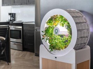 Canggih! Ini OGarden, Kebun Mini Modern Dalam Ruangan