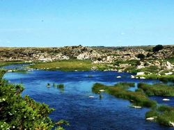 10 Bopeng di Bumi Akibat Hantaman Dahsyat Asteroid