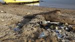 Sampah Plastik Ancam Keindahan Pulau Messah