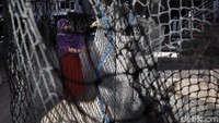 Mufidah sedang menggelar jaring ikan di bawah rumahnya di Pulau Messah. Hal itu dilakukannya untuk memeriksa jaring yang putus dan kemudian memperbaikinya.