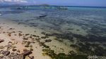 Surga Tersembunyi di Pantai Papagarang