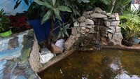 Di salah satu sisi taman terdapat sebuah kolam ikan untuk semakin mempercantik tampilan Taman Robika.