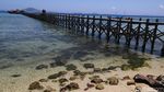 Surga Tersembunyi di Pantai Papagarang