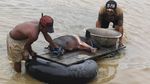 Potret Warga Evakuasi Hewan Ternak Usai Banjir Bandang di Sentani