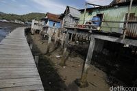 Bertemu Suku Komodo, Saudara Kandung Kadal Purba Legendaris