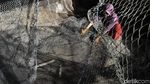 Aktivitas Emak-emak Pulau Messah Merajut Jaring Ikan