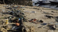 Keberadaan sampah-sampah ini secara langsung dapat menggangu ekosistem biota laut.