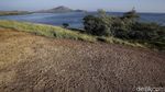 Panorama Pulau Messah yang Memanjakan Mata