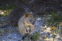 (dok. Tourism Australia)