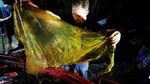 Kebangetan! Ini Penampakan 40 Kg Plastik dalam Perut Paus di Filipina