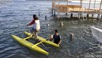 Foto: Ide Liburan Akhir Pekan, Main Sepeda Air di Polewali Mandar