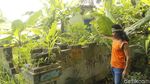 Foto: Tempat Favorit Orang Belanda di Cimahi yang Tinggal Kenangan
