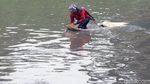 Wow! Warga Panen Cacing Super di Kanal Banjir Timur