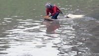 Dengan jaring mereka menangkap cacing yang berada di dalam air.