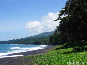 Keajaiban Hutan Tangkoko di Bitung