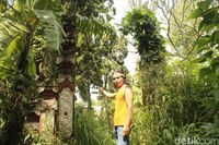Kondisi Berglust saat ini (Yudha Maulana/detikTravel)