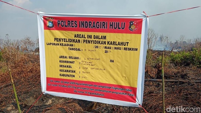 Lahan Tidur Milik Perusahaan Sawit di Riau Terbakar Lahan Tidur Milik Perusahaan Sawit di Riau Terbakar