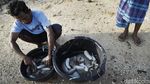 Berburu Teripang Bernilai Jutaan Rupiah