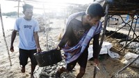 Teripang sendiri bagian dari spesies timun laut. Ada 1.400 spesies timun laut di seluruh dunia. Dari jumlah tersebut, sebanyak lebih dari 350 jenis timun laut ada di Indonesia. Namun tidak semua timun laut disebut teripang loh.