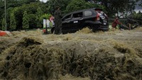 Begini penampakan banjir yang masih merendam kawasan Sentani, Jayapura, Kamis (21/3/2019). ANTARA FOTO/Gusti Tanati.