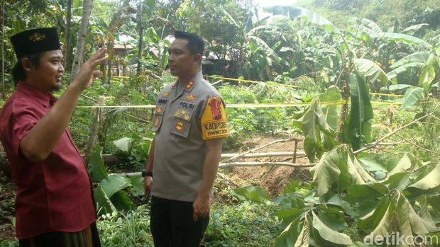 Pepohonan yang ditanam santri juga ditebangi oleh orang misterius. 