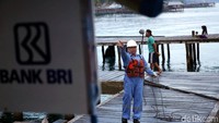 PT Bank Rakyat Indonesia (BRI) Tbk kini siap memberikan layanan perbankan kepada masyarakat hingga ke pulau terluar di pelosok negeri melalui Teras BRI Kapal Bahtera Seva.